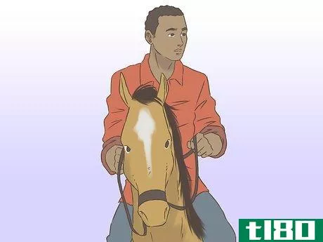 Image titled Get a Horse Fit Step 8