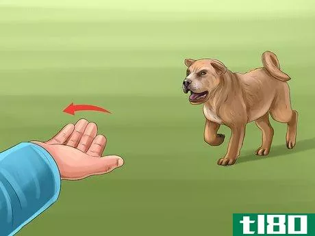 Image titled Introduce Training to a New Puppy Step 3