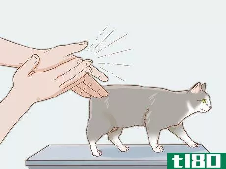 Image titled Help a Deaf Cat Step 3