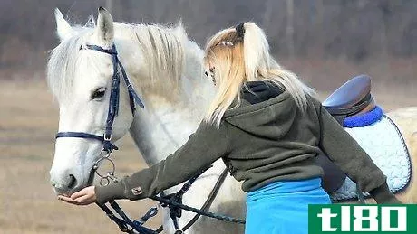 Image titled Get Your Horse to Trust You Step 1