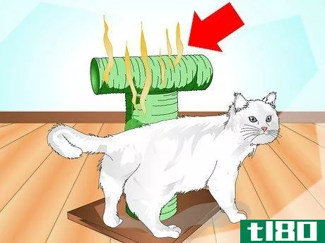 Image titled Get Your Cat to Use a Scratching Post Step 9