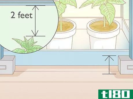 Image titled Grow Tobacco Inside Step 17