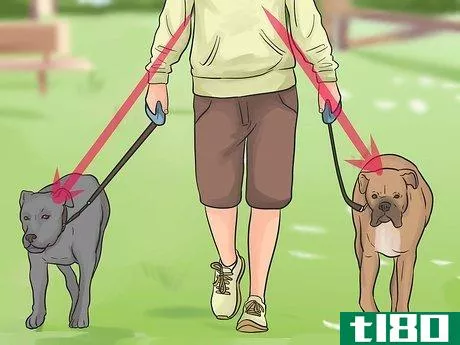 Image titled Introduce a New Dog to Your House and Other Dogs Step 34