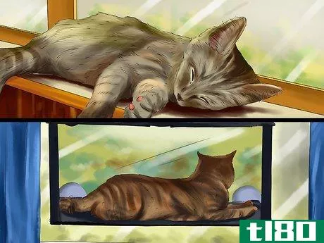 Image titled Give Your Cat Cozy Sleeping Spaces Step 7
