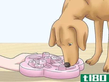 Image titled Get Rid of Your Dog Step 9