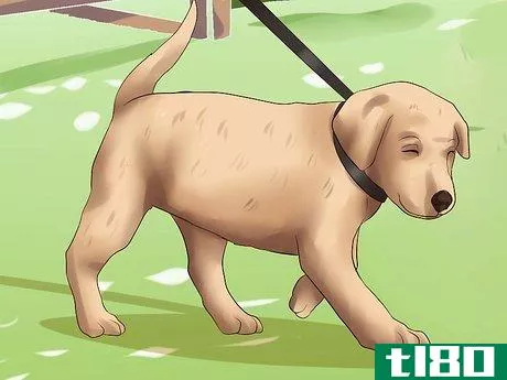 Image titled Get Your Puppy to Stop Biting Step 18