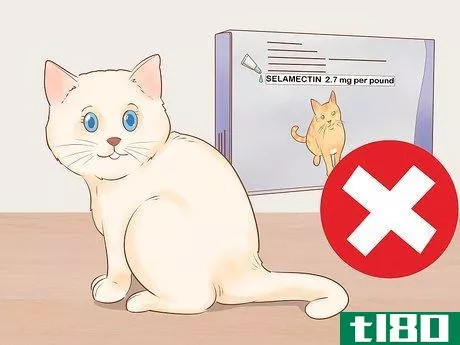 Image titled Give Selamectin to Cats with Parasites Step 9