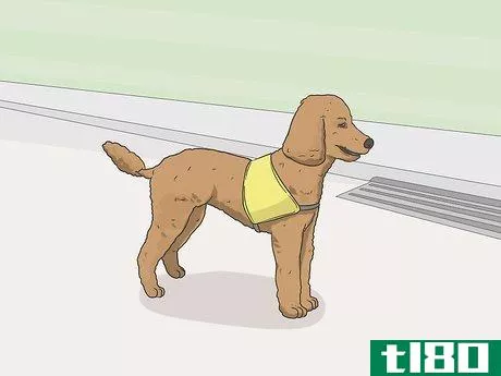 Image titled Identify a Service Dog Step 11