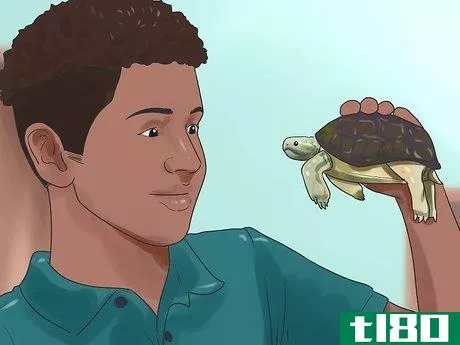Image titled Keep Your Turtle Happy Step 4