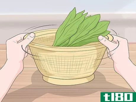 Image titled Harvest Chicory Step 9