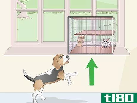 Image titled Keep Pet Rats Safe Around Other Pets Step 8