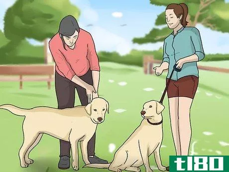 Image titled Introduce a New Dog to Your House and Other Dogs Step 13