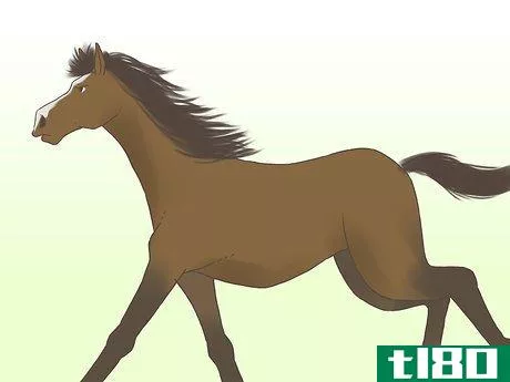 Image titled Get a Horse Fit Step 7
