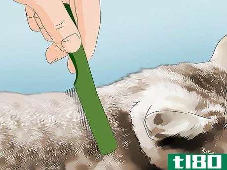 Image titled Get Rid of Fleas in the House Forever Step 6