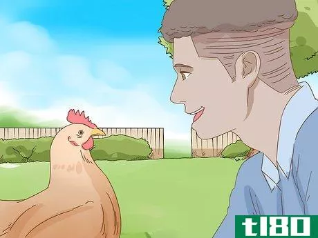 Image titled Keep a Pet Chicken Step 10