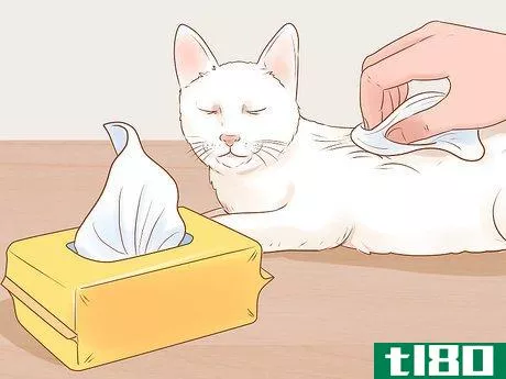 Image titled Make Daily Life Easier for a Mobility‐Impaired Cat Step 7