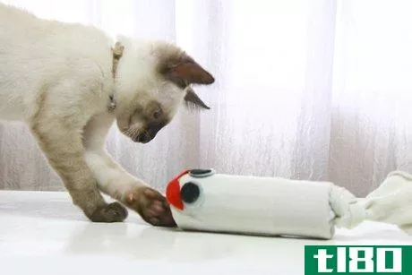 Image titled Make Catnip Filled Sock Toys Step 6