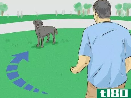 Image titled Look Friendly to Dogs Step 1