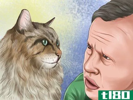 Image titled Make Vet Visits Less Stressful for Your Cat Step 10