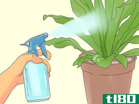 Image titled Make Organic Pesticide Step 13