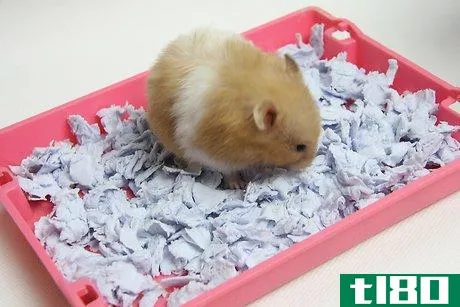Image titled Make Hamster Bedding Similar to Carefresh Intro