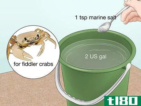 Image titled Look After Pet Crabs Step 4