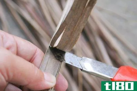 Image titled Make a Broom Using a Coconut Leaf Step 5