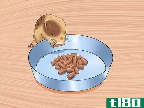Image titled Make Baby Dwarf Hamster Food Step 2