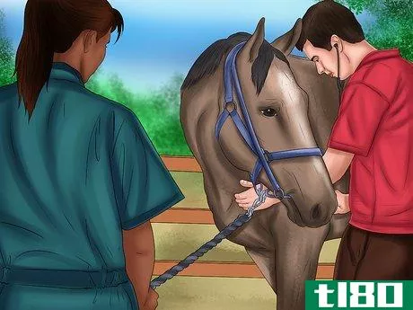 Image titled Maintain Healthy Weight for a Horse Step 4