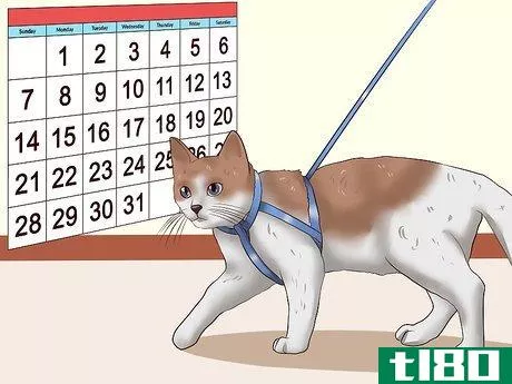 Image titled Leash Train a Cat Step 9