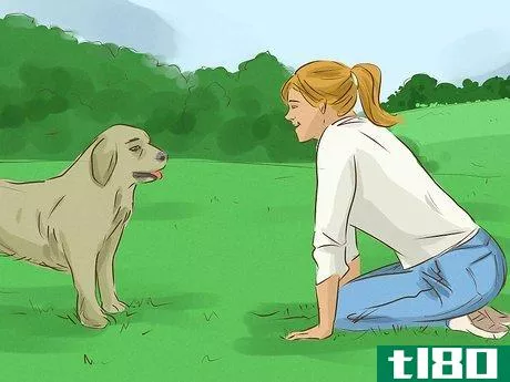 Image titled Look Friendly to Dogs Step 3