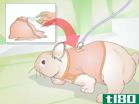 Image titled Make Your Rabbit a Leash Step 12