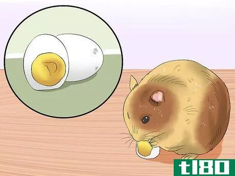 Image titled Make Baby Dwarf Hamster Food Step 7