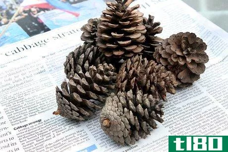 Image titled Make Scented Pine Cones Step 12