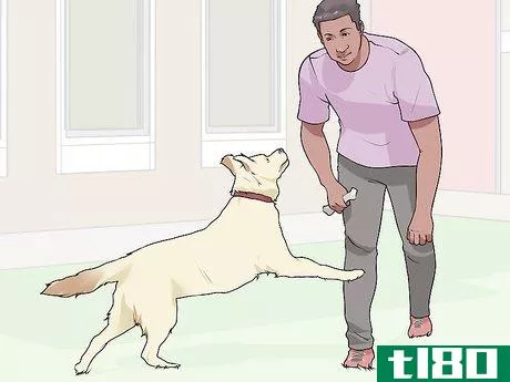 Image titled Live with a Dog with a High Prey Drive Step 6