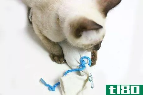 Image titled Make Catnip Filled Sock Toys Step 11