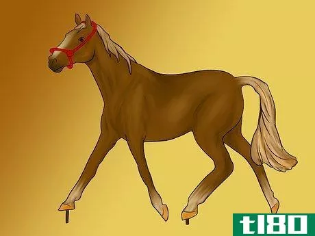 Image titled Make Model Horse Tied Halters Step 4
