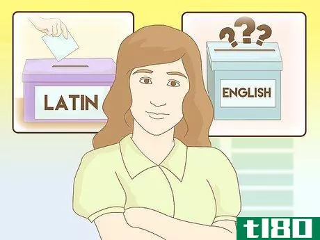 Image titled Learn Latin Vocabulary Step 8