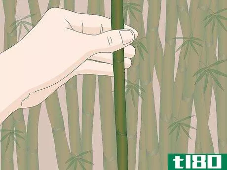如何做竹竿(make bamboo straws)