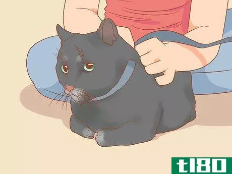 Image titled Make a Cat Collar Step 7