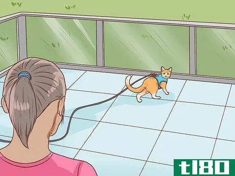 Image titled Make a Balcony Safe for Cats Step 10