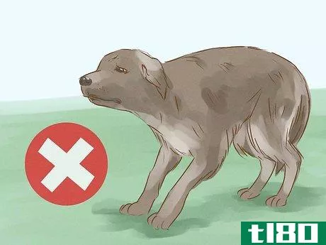 Image titled Look Friendly to Dogs Step 11
