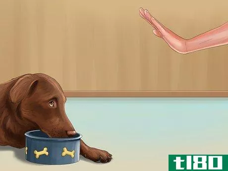 Image titled Check Pet Food Recalls Step 7