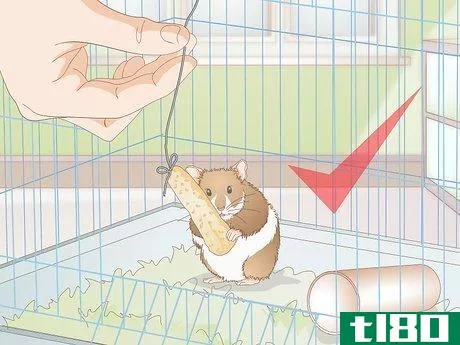 Image titled Make Hamster Treats Step 20