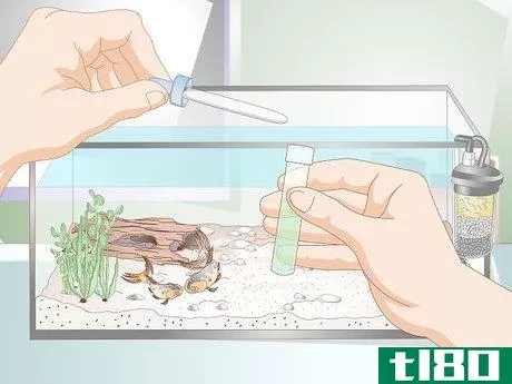 Image titled Lower Ammonia Levels in a Fish Tank if They Are Not Very High Step 12