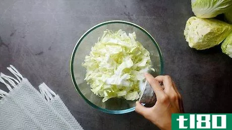 如何做泡菜(make sauerkraut)