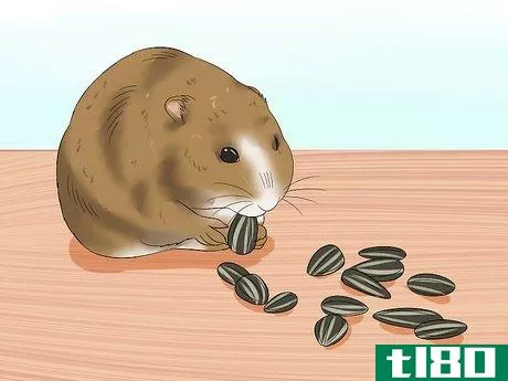 Image titled Make Baby Dwarf Hamster Food Step 8