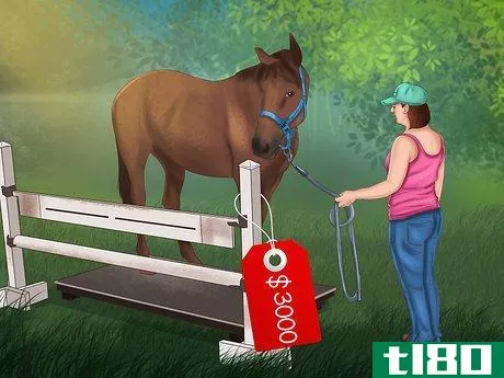 Image titled Maintain Healthy Weight for a Horse Step 1