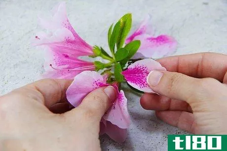 Image titled Make Flower Syrups Step 2