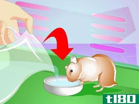 Image titled Make Your Hamster Live Longer Step 5